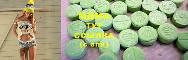 индика Алексин