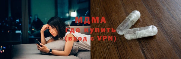 индика Алексин