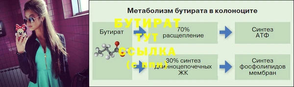 индика Алексин
