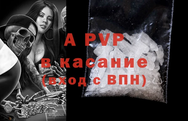 индика Алексин