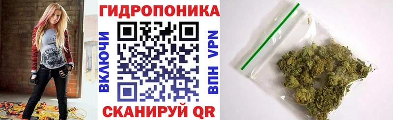 где найти   Ардатов  Канабис индика 